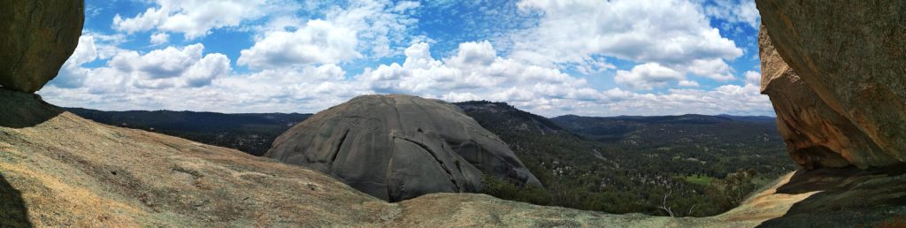 Panoramacops