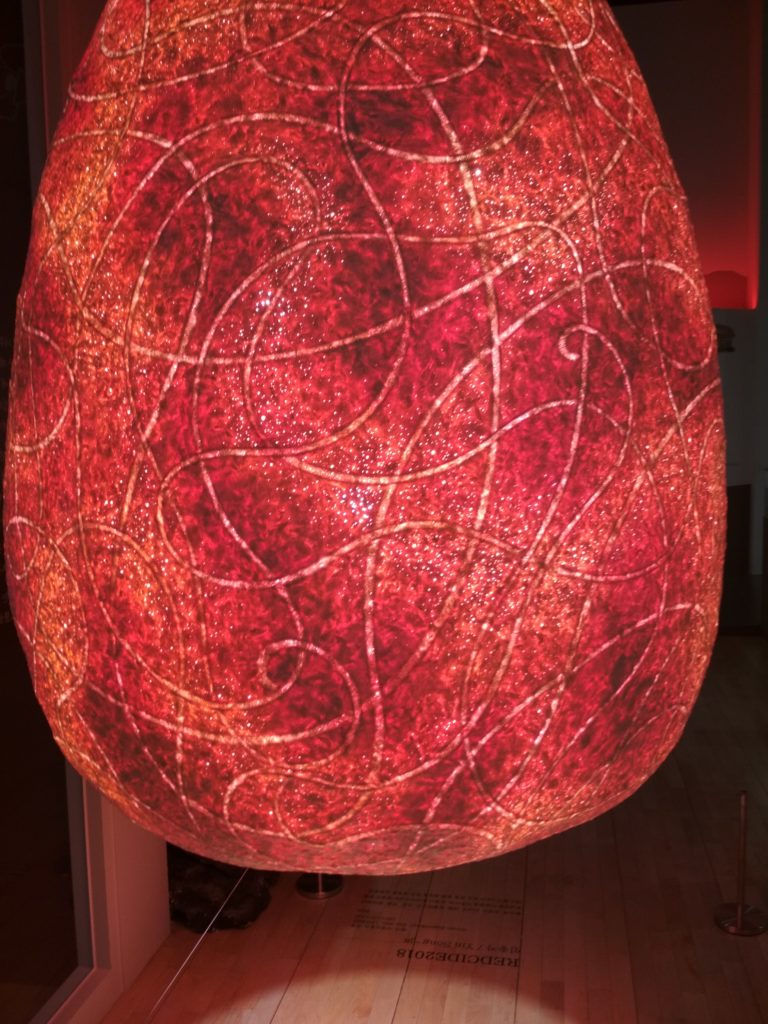 Caos