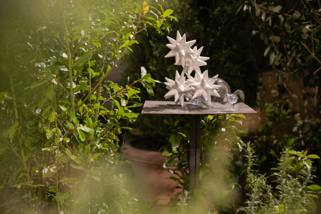 Il giardino del futuro